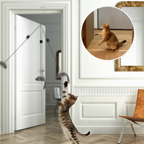 Hanging Door Bouncing Mouse Cat Toy